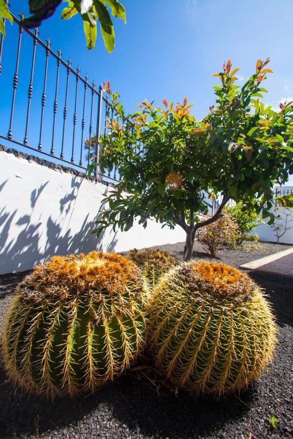 Alizuth Villa Puerto del Carmen (Lanzarote) Exterior foto